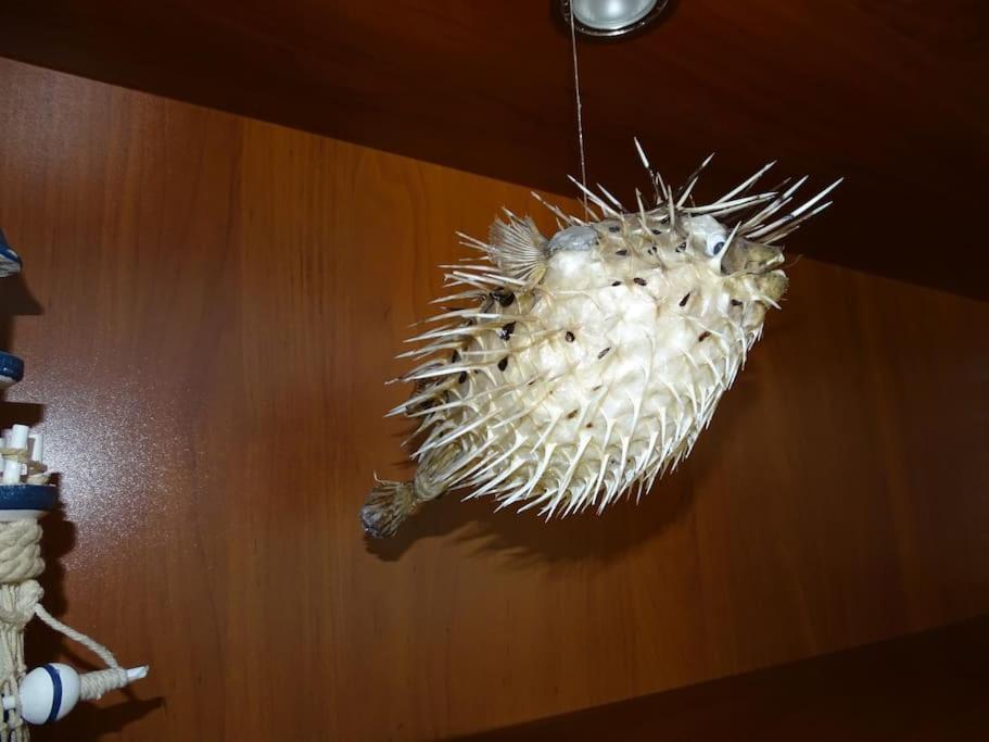ラゴスCaravela Aアパートメント エクステリア 写真